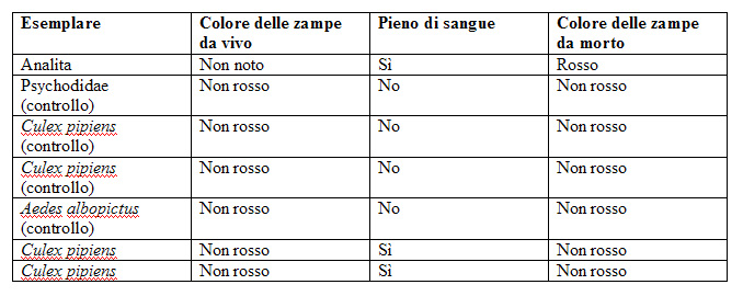 Informazione su Culicidae